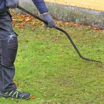 Mose i gressplenen: Det rakede området ser nakent ut Mose i gressplenen: Det rakede området ser nakent ut